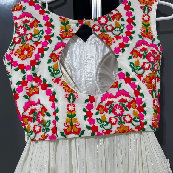 Extremely beautiful Indian Pakistani lehenga choli - Picture 6 of 10